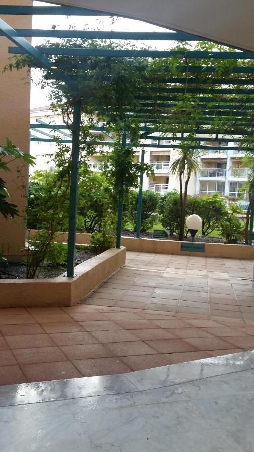 Apartment Et Jardin En Centre *